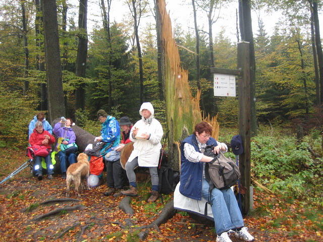 Mittagspause im Regen!Liesl und ihr Trinkbecher fehlen!